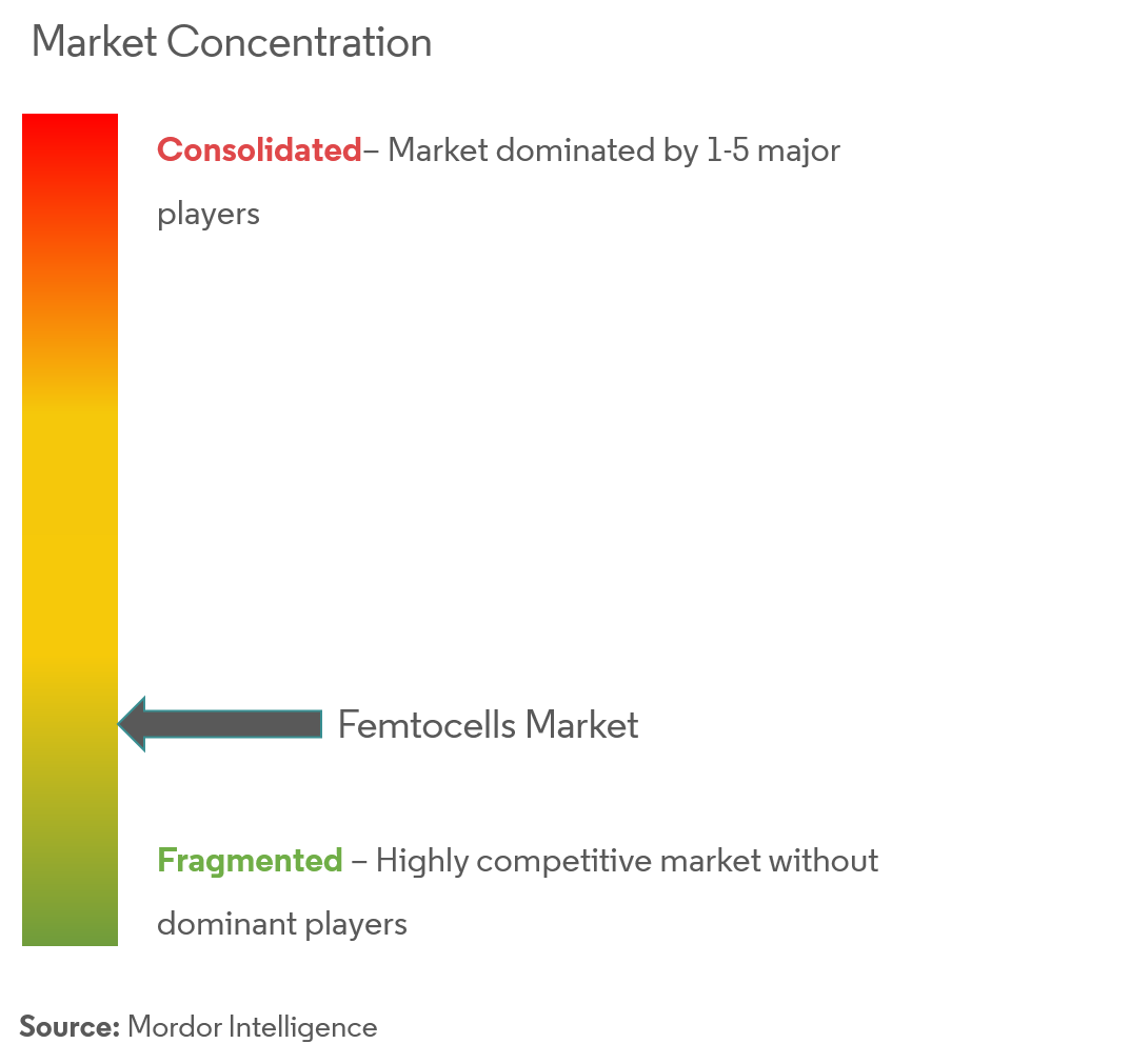 Femtocells Market Concentration